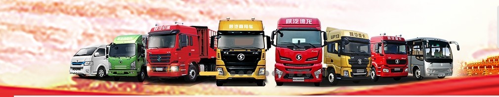 China F3000 Shacman Dump Truck 30 Ton Payload Capacity Dumper