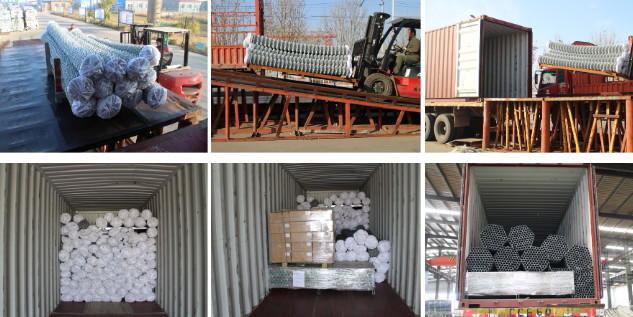 50*50mm-80*80mm Temporary Mesh Fencing Cyclone