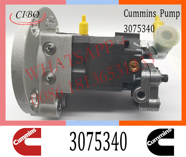 Cummins M11 ISM11 Engine Parts Injection Fuel Pump 3075340 3060492 3041800