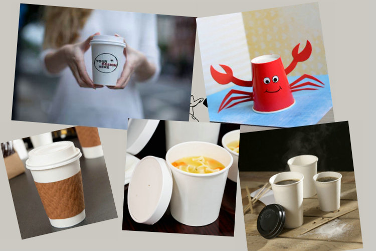 170 - 300gsm Food Grade Cupstock Base Paper Roll For Disposable Paper Cup