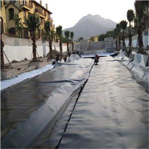 Textured Smooth Surface 100mm Height HDPE Geocell for Durable Infrastructure Projects