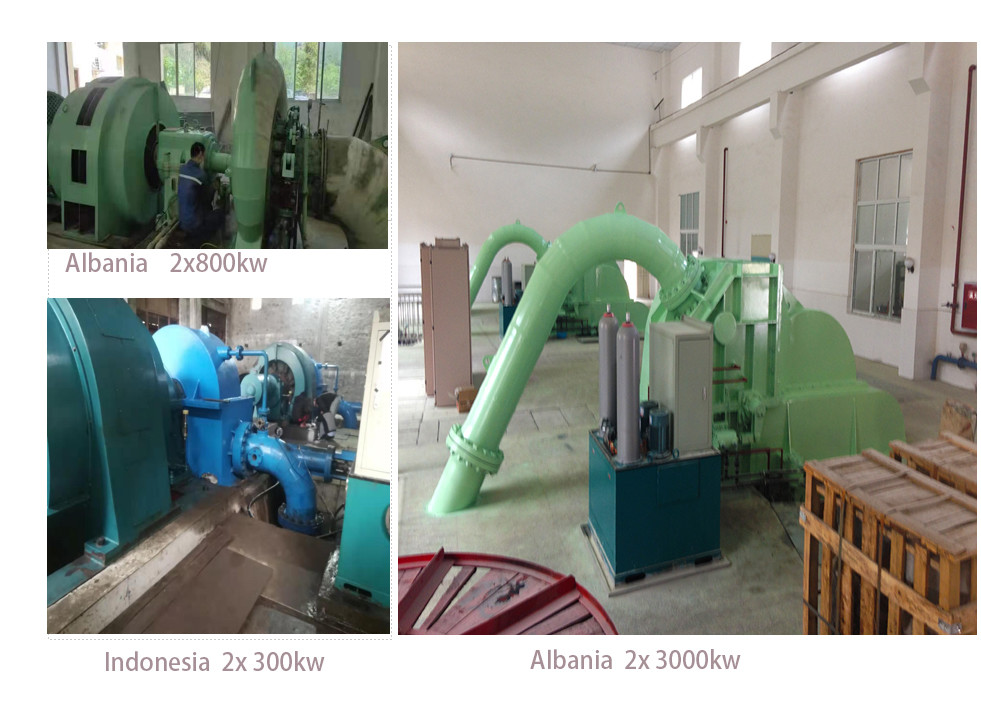 High Speed Pelton Turbine Generator 500-3000r/min 50/60Hz Rated Frequency