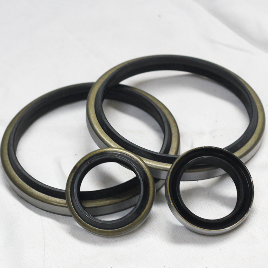 DKB Rubber Rotary Hydraulic Cylinder Oil Seal Dust Wiper Seal with Metal Case Package