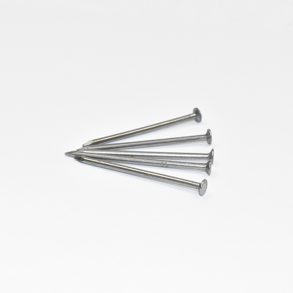 Stainless Steel Galvanized Common Nails With Bright Finish 2 Inch 13 Gauge