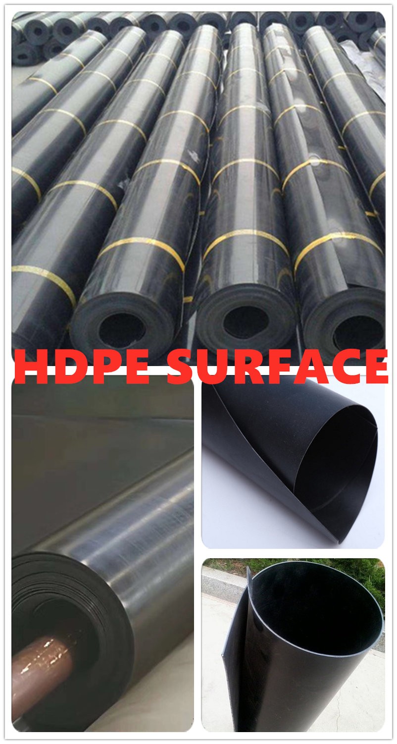 Best HDPE Geomembrane Roll for Fish Liner Durable and Environmentally Friendly