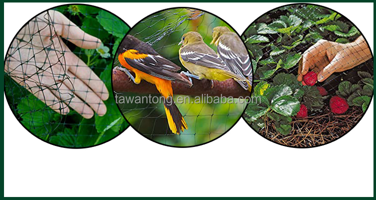 Max 4m Width Customized Length 13GSM Bop Stretched PP Net for Garden Bird Protection