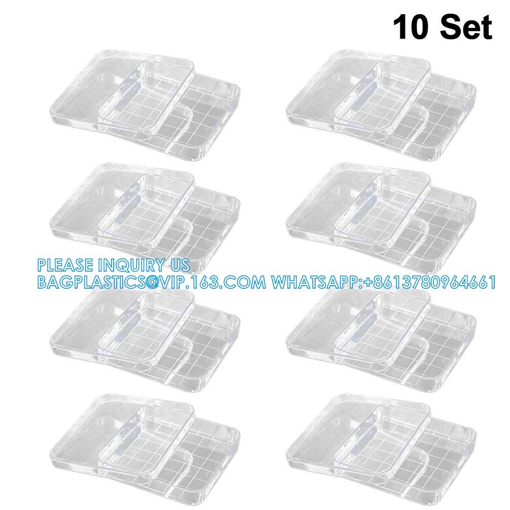 Polystyrene Square Integrid Petri Dish Container for School Lab Science Experiment Alphanumeric Gridlines