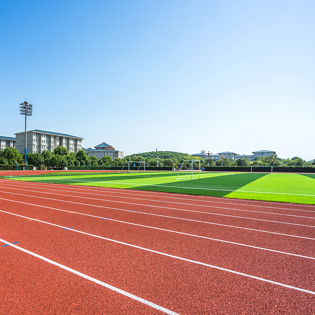 2.5mm Synthetic Sports Flooring Prefabricated System Running Track Multicolor