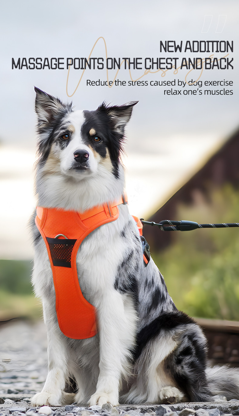 Pet Massage Chest Harness Reflective Breathable Mesh Vest Style For Small Medium And Large Dogs