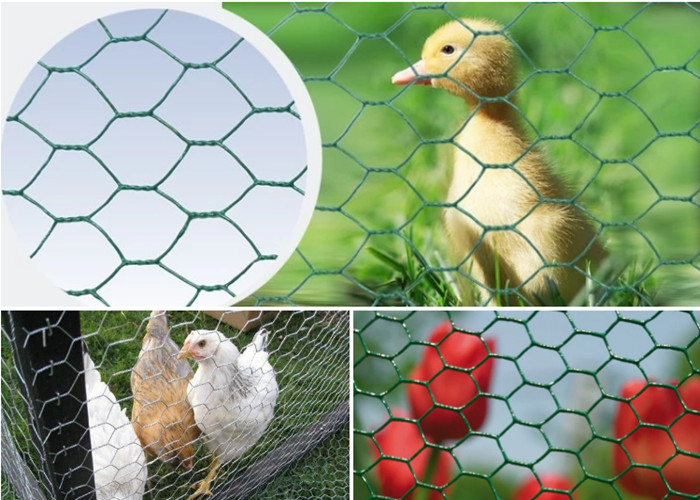 Animal Protection 75mm BWG18 Hexagonal Chicken Wire