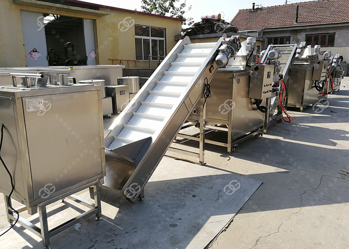 Vegetable Chips Making Machine