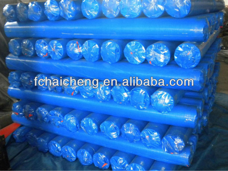 olive green and white pe tarpaulin used outdoor for carwash
