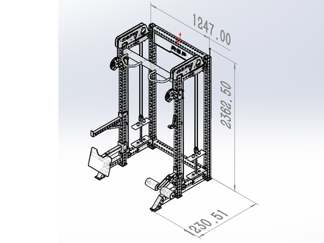 New Product Strength Gym Equipment Squat Rack with DAP Machine