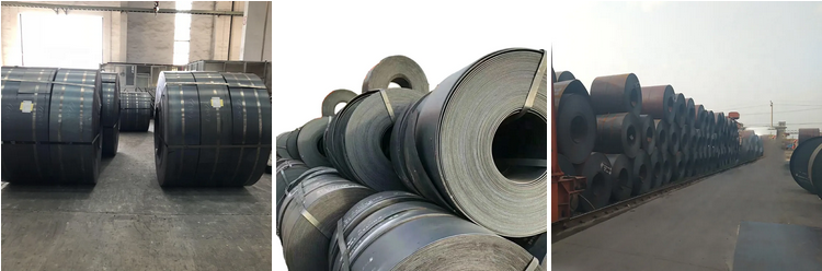 Hot rolled  Carbon steel coil