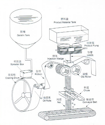 Laboratory Pharmaceutical Machinery For Softgel encapsulation machine oil and liquid capsule
