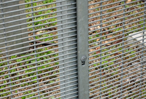 358 welded mesh fencing