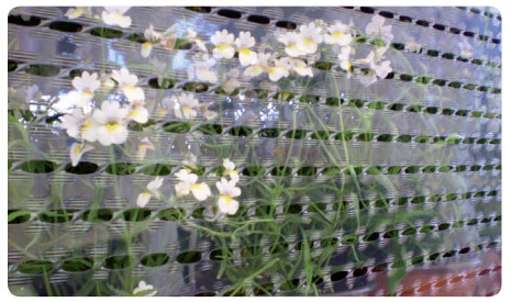China factory supply irrigation system pe pipe price Ldpe pipe,25mm Garden irrigation PE pipe,Polyethylene PE Flexible P