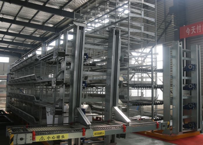 High Efficient Automatic Egg Collection System Harvest Conveyor System