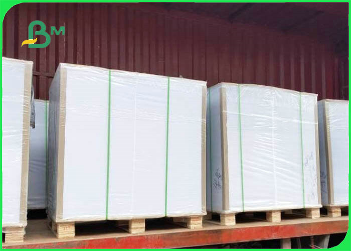 Jumbo roll 70gsm 80gsm Offset Printing Paper With 80cm 90cm 120cm width