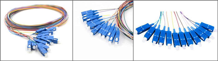 Outdoor Multi Core 12 Fiber 1m SC Fiber Optic Pigtails