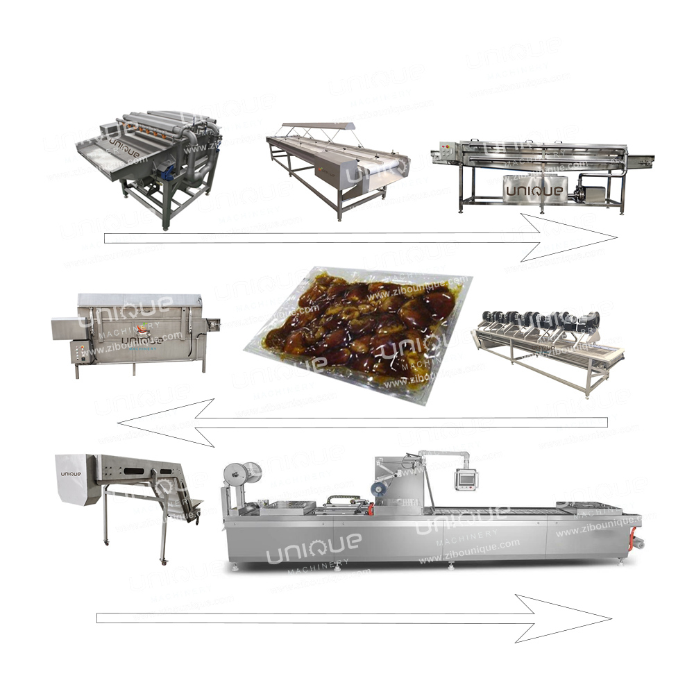 Restaurant Palm Dates Washing Machine with Selecting Conveyor in Stainless Steel 304