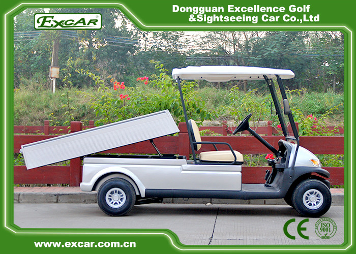 2 Passenger Electric Utility Car With Cargo Box