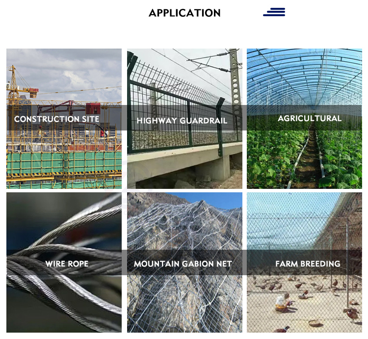 ASTM Standard Ms Hot Dipped Electro Gi Galvanized Steel Wire with AISI 1008 1006 0.3mm 2mm 4mm in Barbed Wire