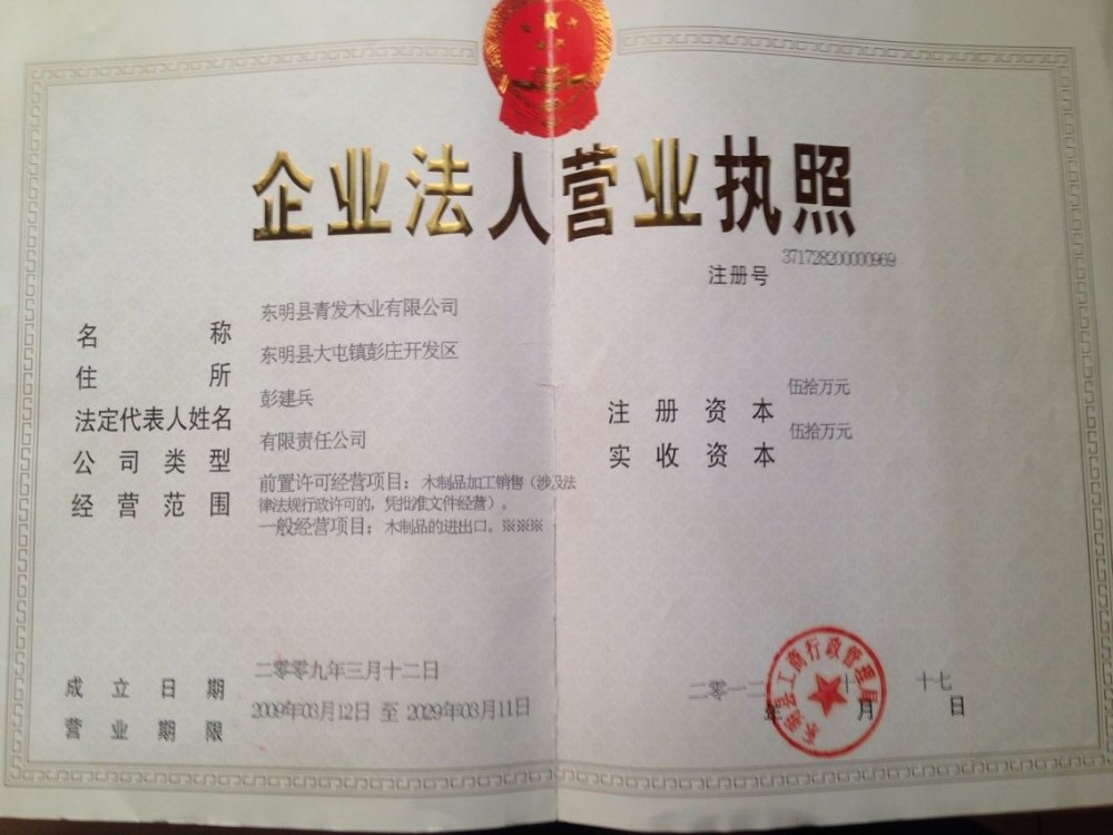 280-300kgs/Cbm Density Poplar Timber Wood For Woodworking Projects