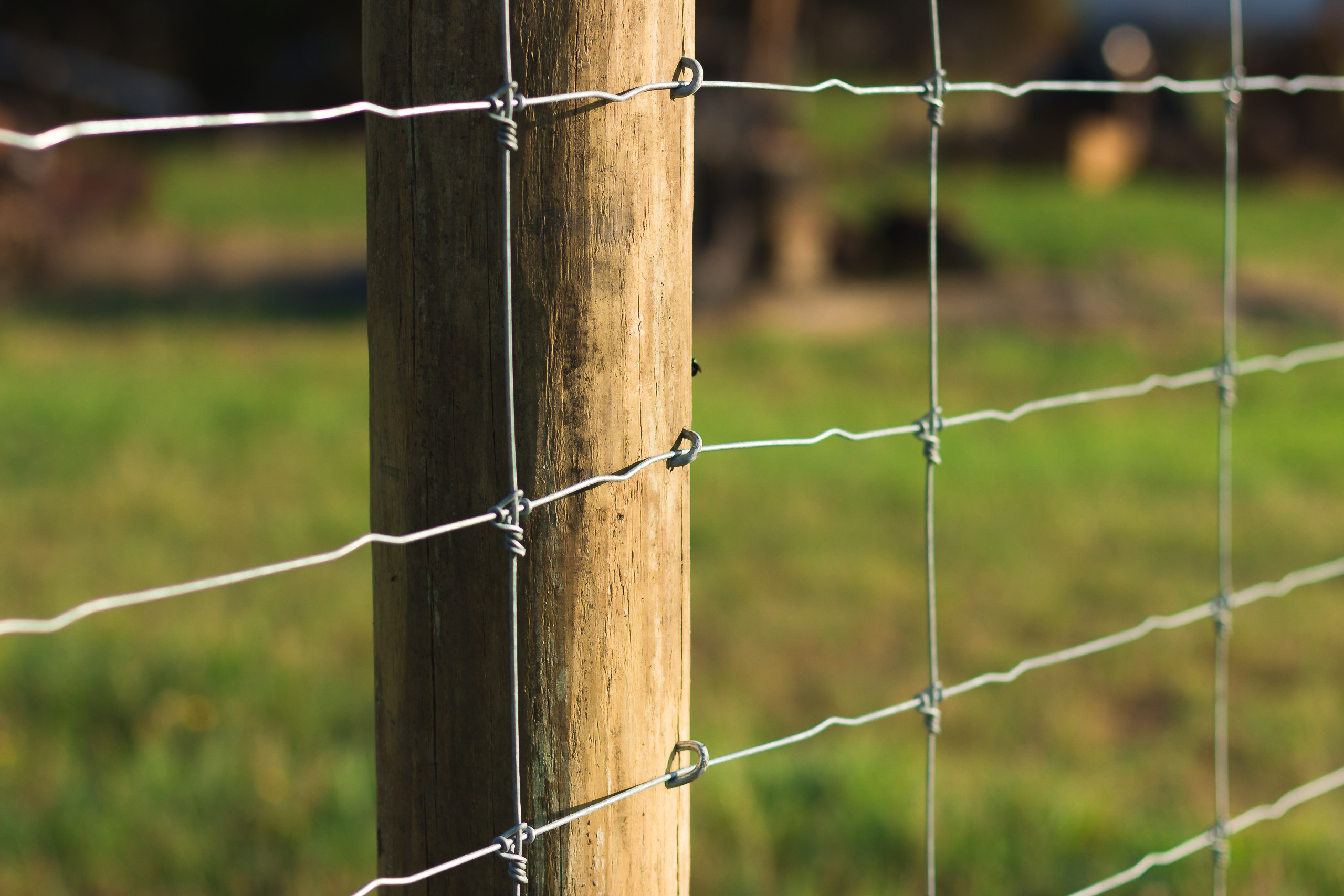 Hot Dip Galvanized Deer Fixed Knot Fence 4ft 5ft 6ft 7ft 8ft