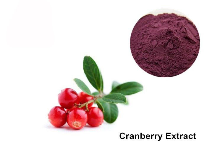Cranberry Fruit Purple Red 25% Anthocyanin Extract Powder