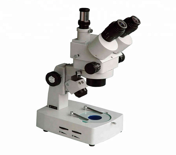 Stereo Microscope
