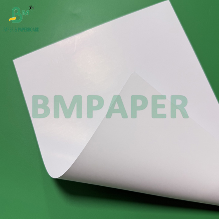 120g C1S Coated One Side Gloss Paper 68cm 110cm Roll Width 