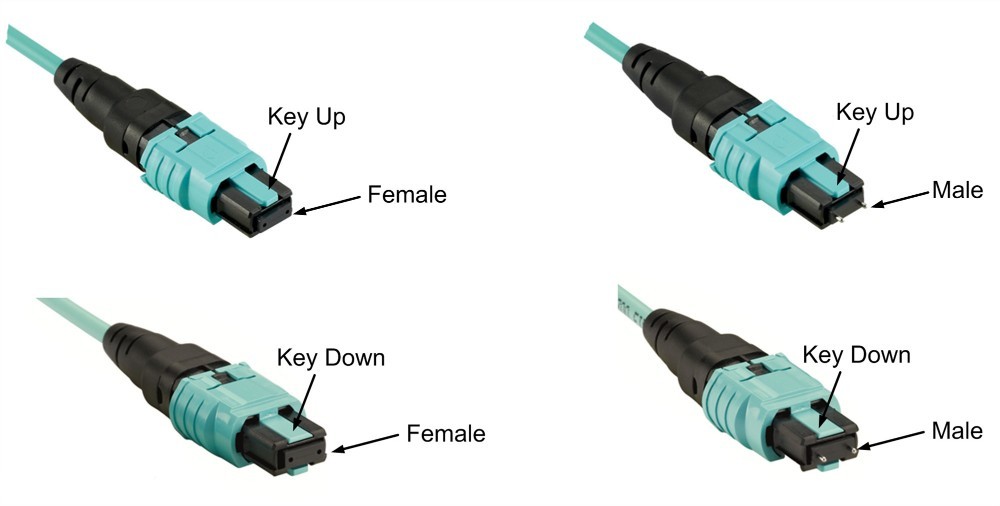 MPO(f) to MPO(f) 12f LSZH OM3 Fiber Optic Patch Cord Mpo Trunk Cable