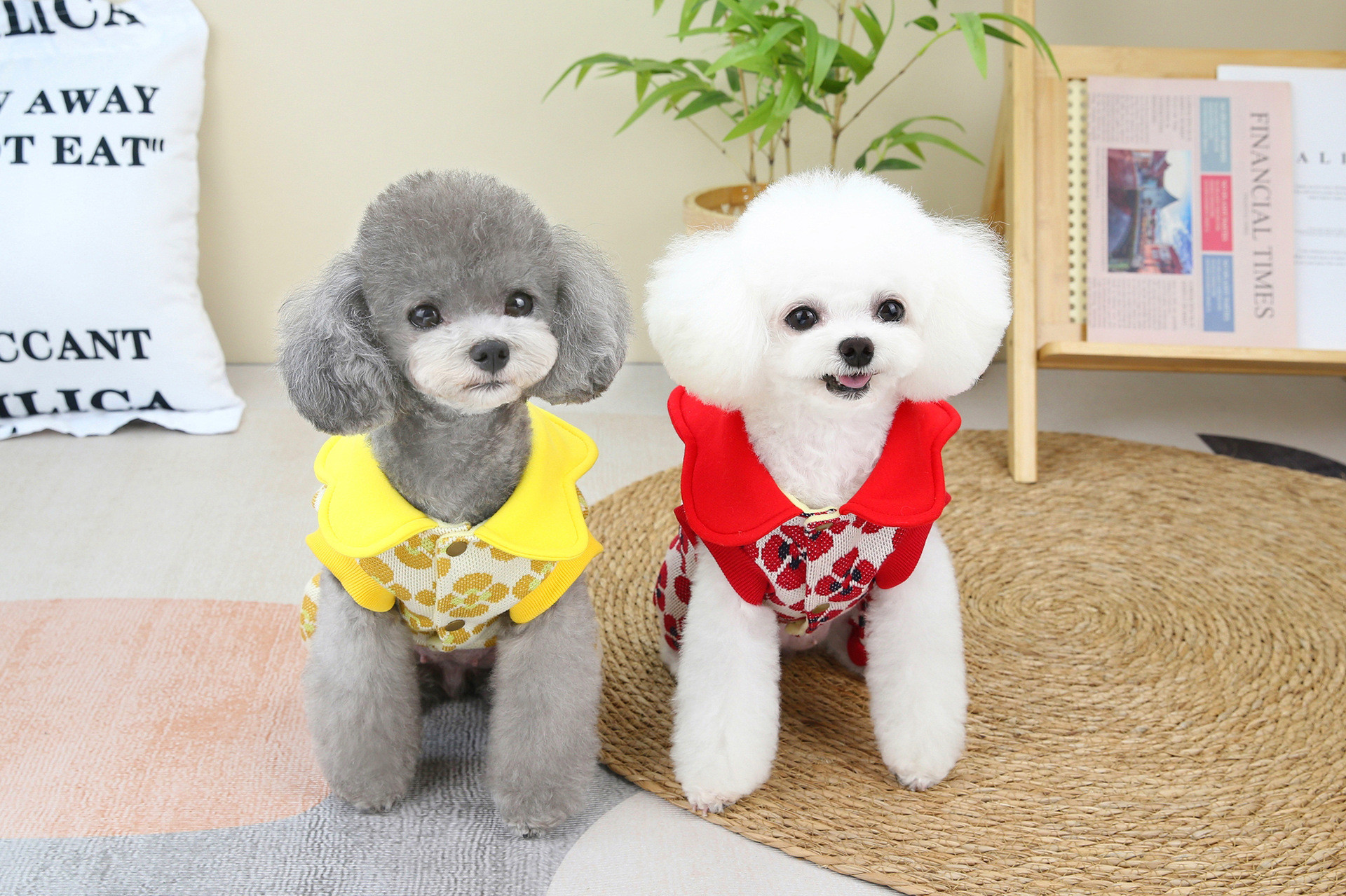 Fashionable Pet Dog Clothes Soft Breathable Comfort Clothing For Pets