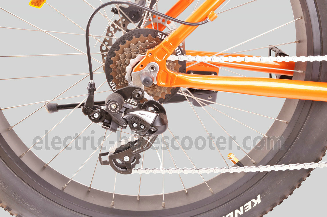28km/H Fat Tire Cruiser Ebike Front Motor Pedals Assisted Disc Brake