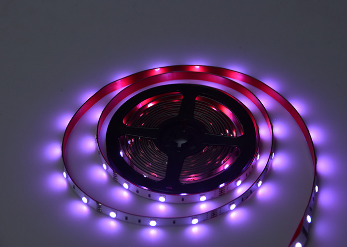 Sound Activated 24 Key IP20 30lamp/M RGBW LED Strip Light
