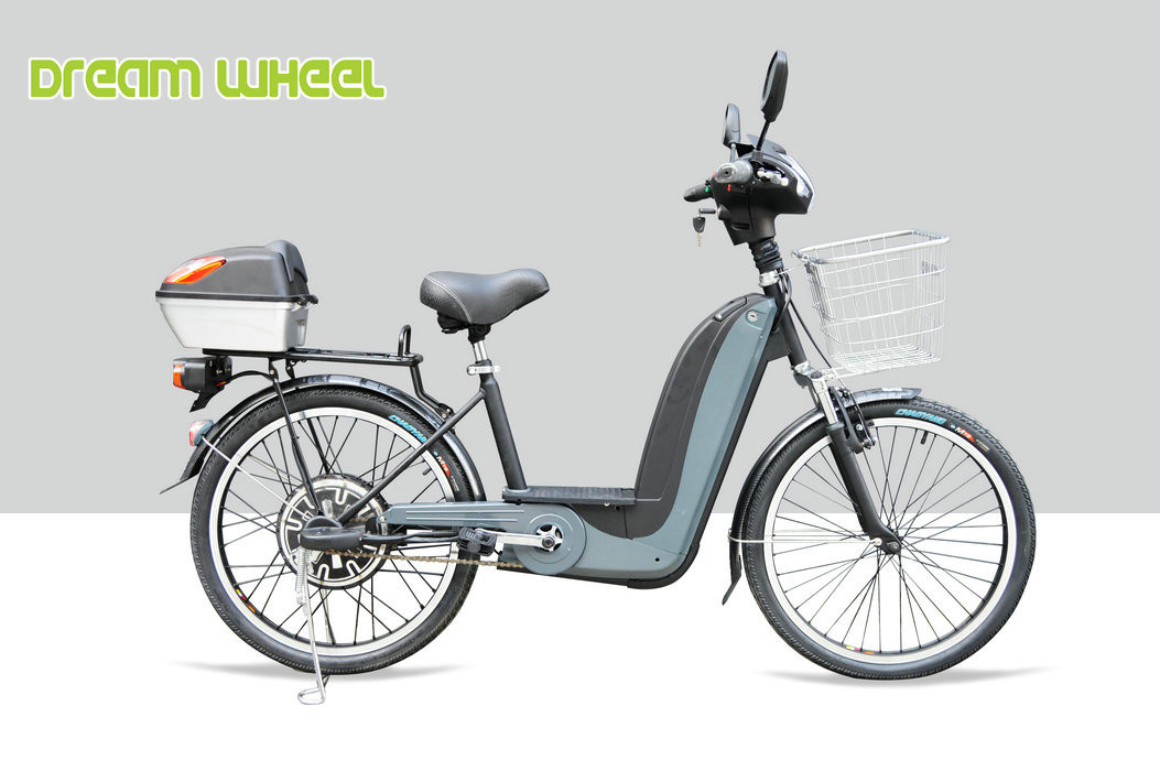 36V 350W Pedal Assist Electric Bike 24 Inch Wheel V Brake Rear Brushless Motor