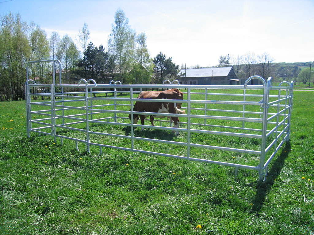 Galvanized Steel Metal Farm Gate Powder Coated Livestock Horse Corral Fencing