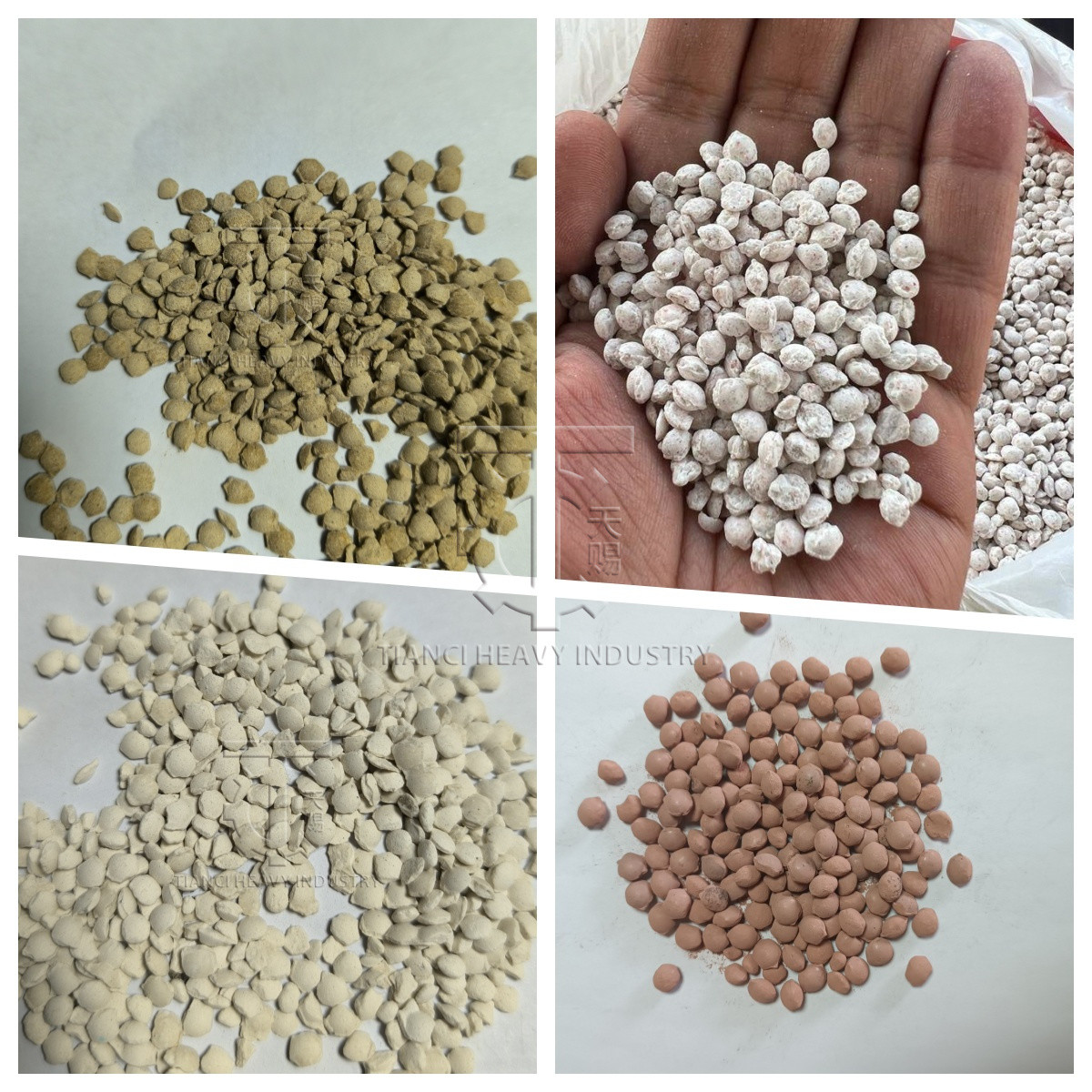 Diammonium Phosphate Granulation Production Line Metal Powder Roller Press Granulator Production Line