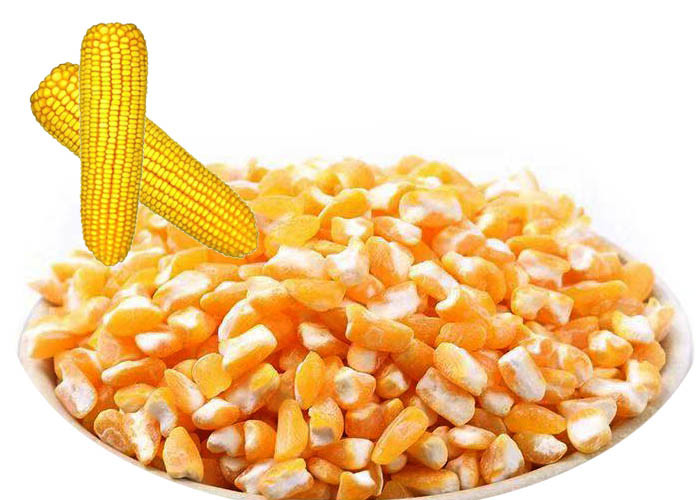 Premium Corn Major Agricultural Products , Agricultural Food Products Dried Style