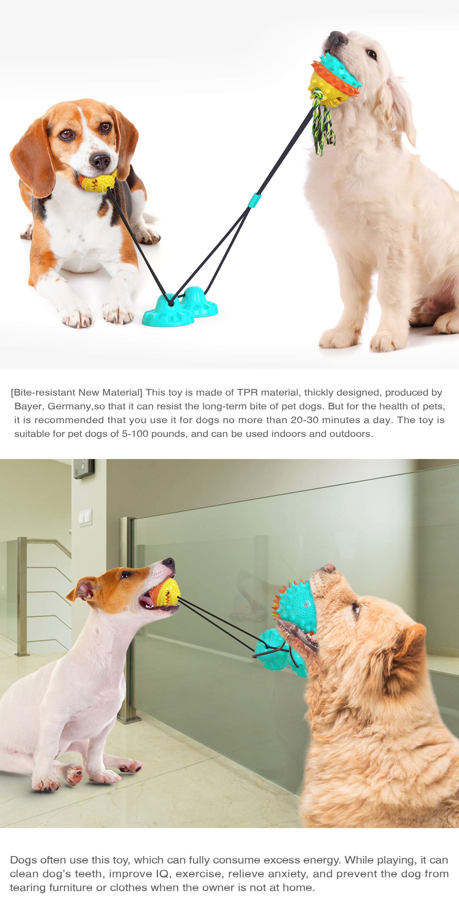 Grinding Teeth Interactive Pet Toys Strong Sucker Indestructible Bouncy Dog Ball OEM
