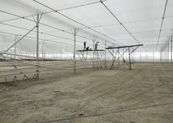 Large Scale Multi Span PC Sheet / Board Venlo Polycarbonate Greenhouse For Flower Vegetable Plant