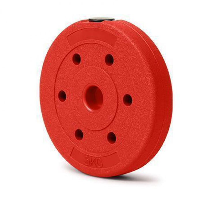 ABS Barbell Weight Lifting Cement Weight Plate Colorful