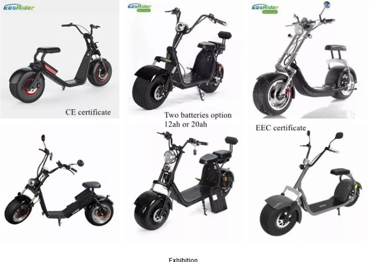 Ecorider 2 Wheel Electric Scooter 1500w EEC City Coco LED Turn Light With Fat Tire