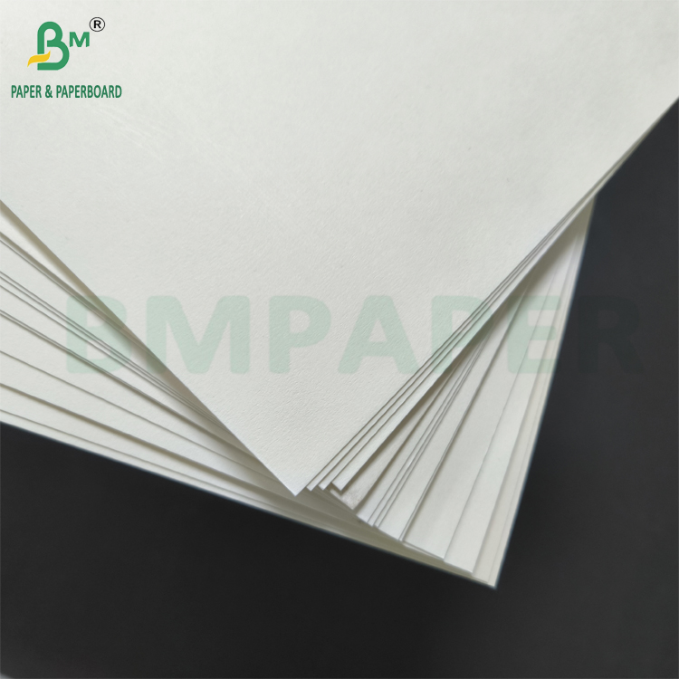 White Paper Bowl Base Paper With PE Coating Noodles Bowls Fast Food Bowl