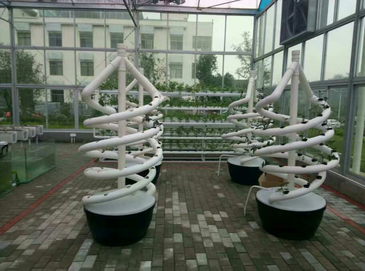 Soilless Culture Biological Control Double Helix Hydroponic Tube For Indoor