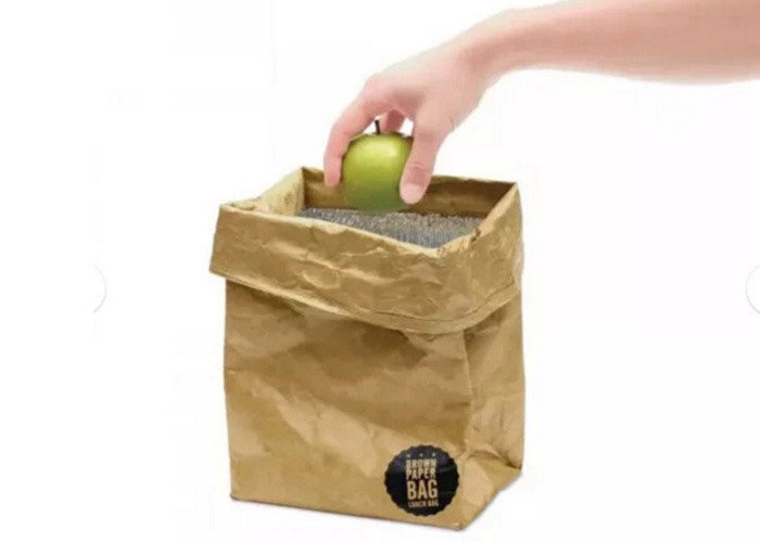 Recycled Reusable Brown Paper Tyvek Insulated Lunch Bag Washable Lightweight