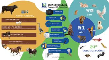 Raybaca IOT Technology Co.,Ltd