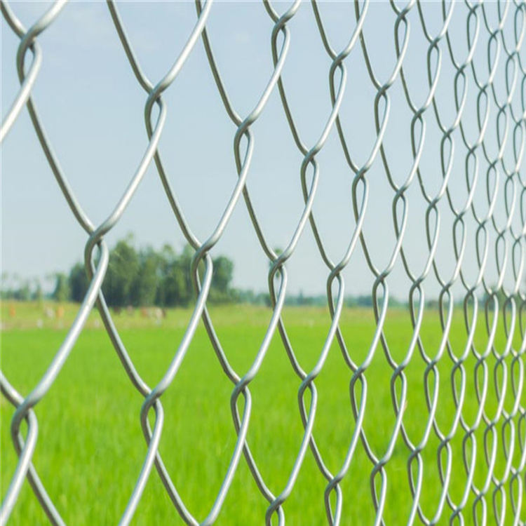 100ft Galvanized Black PVC Coated Chain Link Wire Mesh Fence For Sport Court