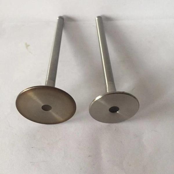 Quality Car Truck Accessories RF8 Intake Valve  Exhaust Valve For Nissan 13202-97016 for sale